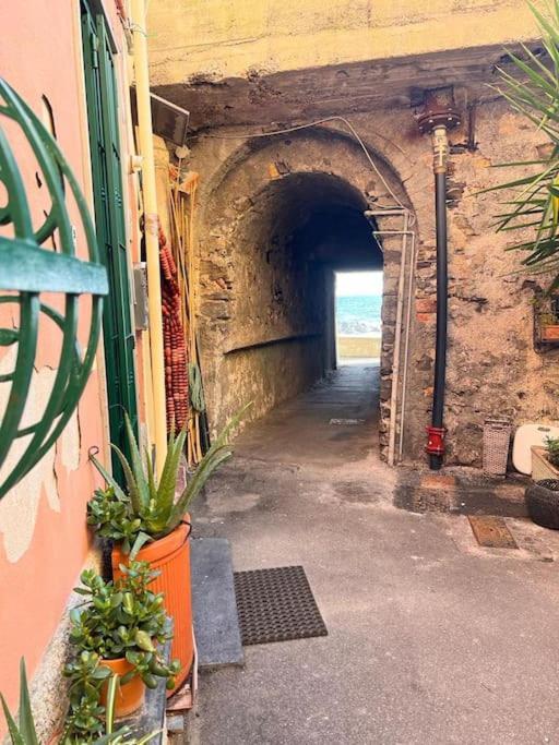 Casa Orri Quinto Mare E Gaslini Daire Cenova Dış mekan fotoğraf