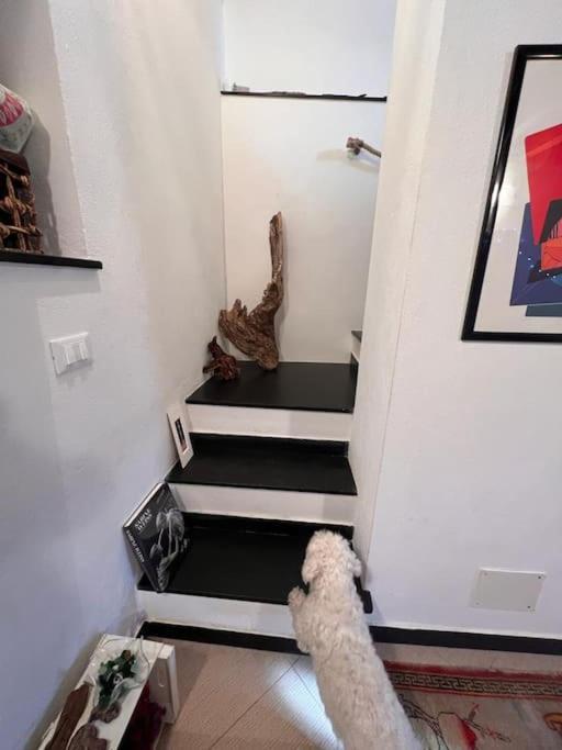 Casa Orri Quinto Mare E Gaslini Daire Cenova Dış mekan fotoğraf